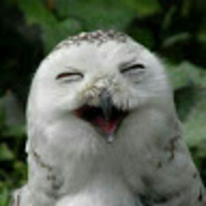 Meet your Posher, Melody